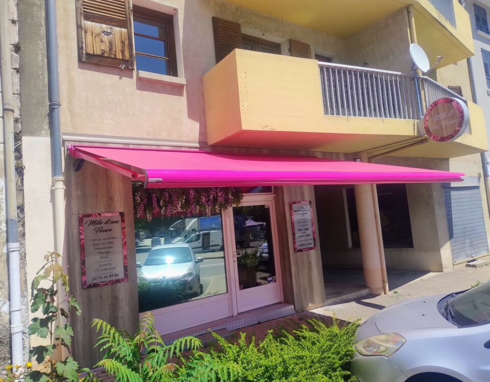 Store banne coffre Schenker alu rose chez un client professionnel par Arnaud et Blanc